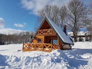 Дома для отпуска Domek w Bieszczadach Лютовиска Дом с 2 спальнями-22